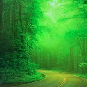 Meet your Posher, Edith